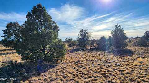 5373 Red Butte Road, Williams, AZ 86046