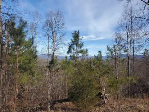 Lot 25 Meadow Brooke, Young Harris, GA 30582