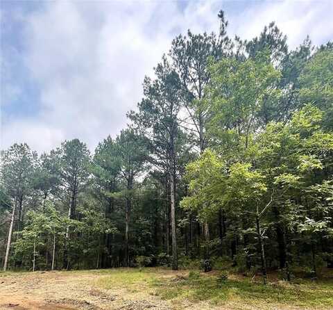 6 Upper Vista Ridge Trail, Broken Bow, OK 74728