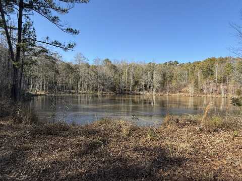 0 Sylvan Loop Road, Fosters, AL 35463