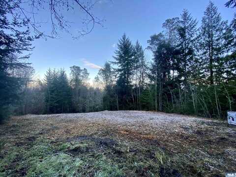 000 Chelsamish Dr, Sequim, WA 98382
