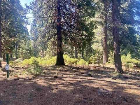 31 Fox Trail, Lake Almanor, CA 96137