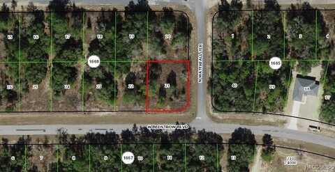 6597 N Bedstrow Boulevard, Citrus Springs, FL 34433