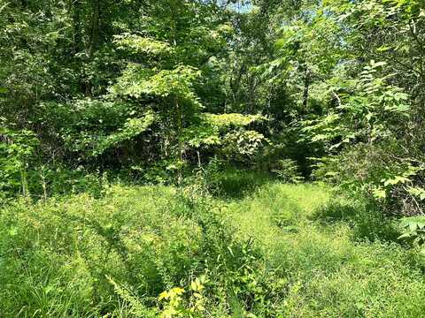 7.7 Acres Waterlevel Highway, Cleveland, TN 37323