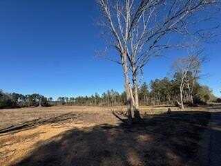 Lot 2 Dinan Salem Road, Tylertown, MS 39667