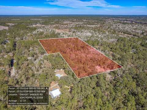 0 Dwight Sanders Road, Sopchoppy, FL 32358