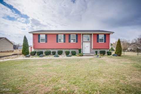 155 Wagon Wheel Trail Trail, Chuckey, TN 37641