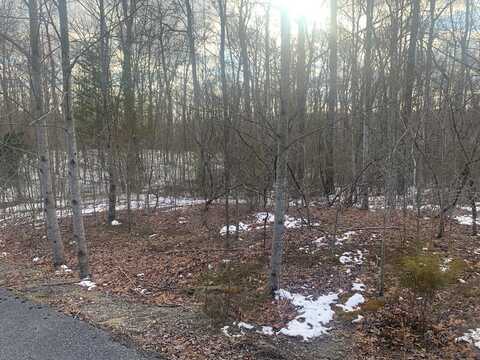 Lot 324 Timber Wood Trail, Spencer, TN 38585