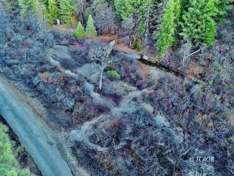 7081 Rattlesnake Rd, Trinity Pines, CA 96041