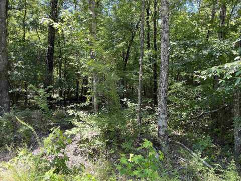 2 Murillo Circle, Hot Springs Village, AR 71909