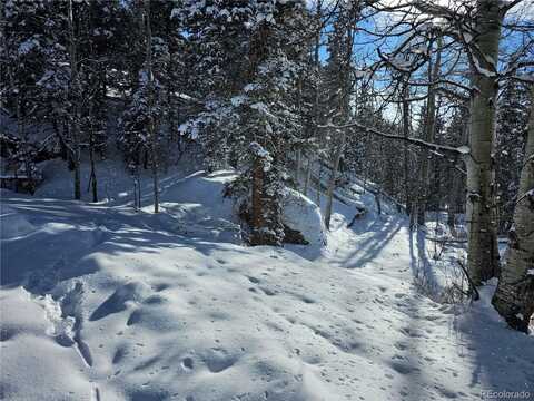 52 Warrior Circle, Florissant, CO 80816