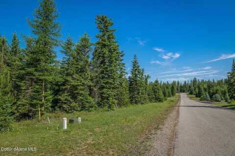 Lot 10 E Riley Loop, Athol, ID 83801