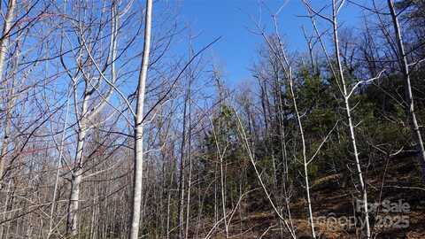 62 Stone Brook Trail, Black Mountain, NC 28711