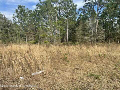 18061 Necklace Warbler Avenue, Brooksville, FL 34614