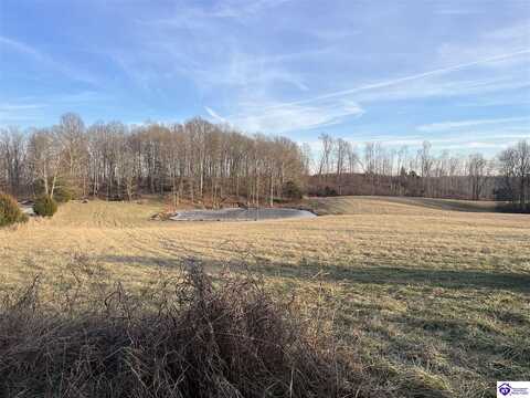 0 S Skaggs-Dobson Road, Summersville, KY 42782