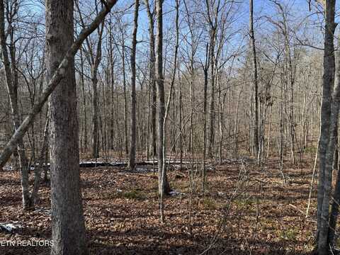 Belmont Circle, Monterey, TN 38574