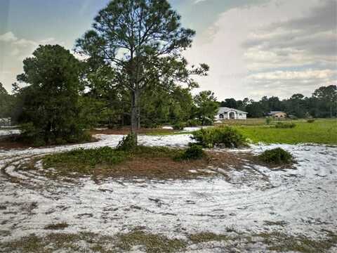 1021 GODETIA STREET, LAKE PLACID, FL 33852