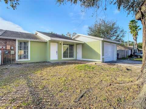 10214 TURTLE HILL COURT, TAMPA, FL 33615