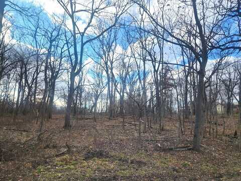 Lot 1507 Shoreline Drive, Varna, IL 61375