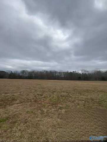 195 Paint Rock Road, New Hope, AL 35760