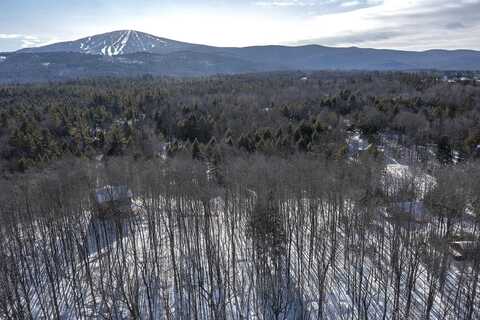 10 Little Brook Road, Winhall, VT 05340