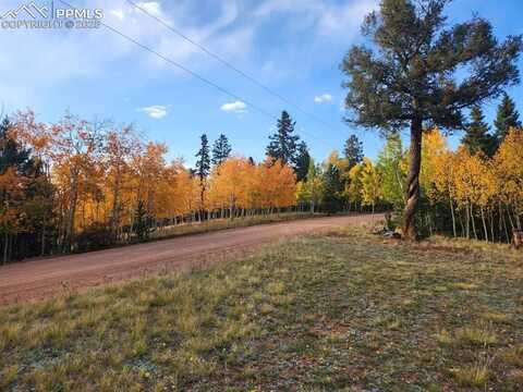 2652 YORKTOWN Road, Cripple Creek, CO 80813