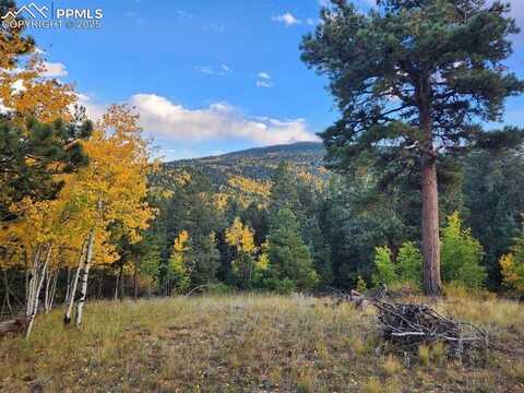 2642 YORKTOWN Road, Cripple Creek, CO 80813