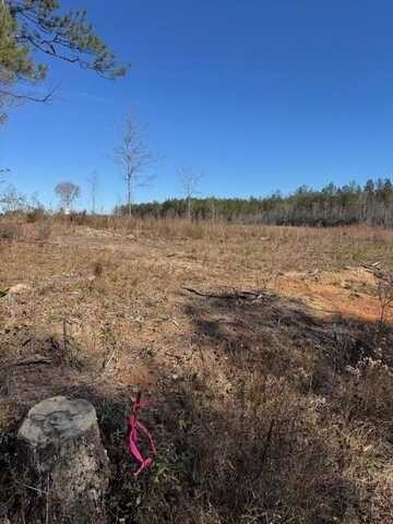 Lot 4 Dubose Road, Lumberton, MS 39455