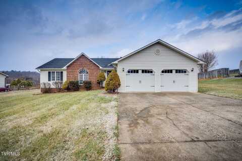 121 Waters Edge Drive, Bluff City, TN 37618