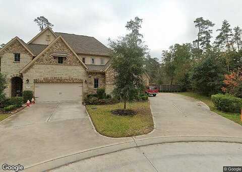 Liatris, CONROE, TX 77304