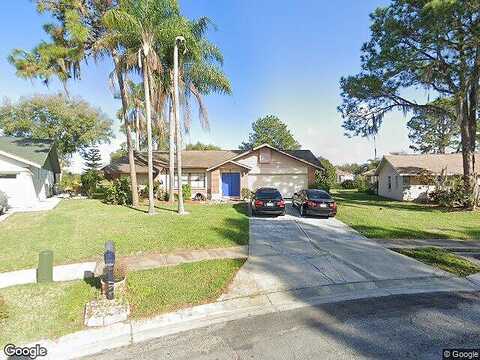 Lynmoor Drive, RIVERVIEW, FL 33569