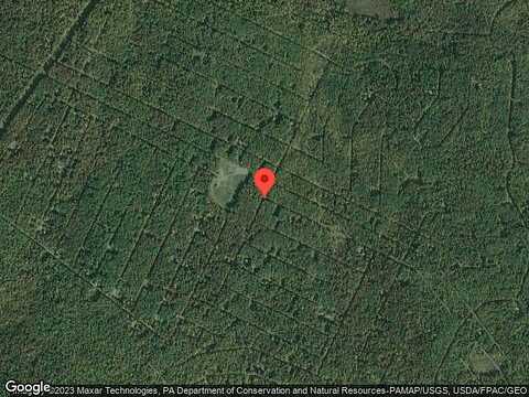 Cobblewood, NEWFOUNDLAND, PA 18445