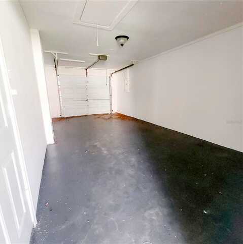 Limpet, TAMPA, FL 33625
