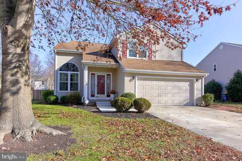 Sweetgum, DOVER, DE 19904