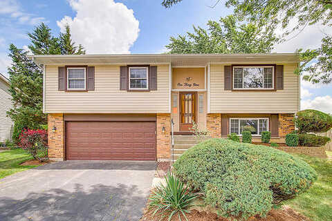 Poplar, GLENDALE HEIGHTS, IL 60139