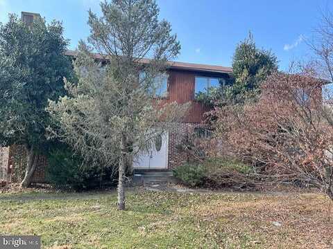 Holly, OWINGS MILLS, MD 21117