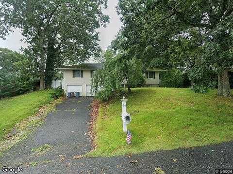 Lolly, CENTEREACH, NY 11720