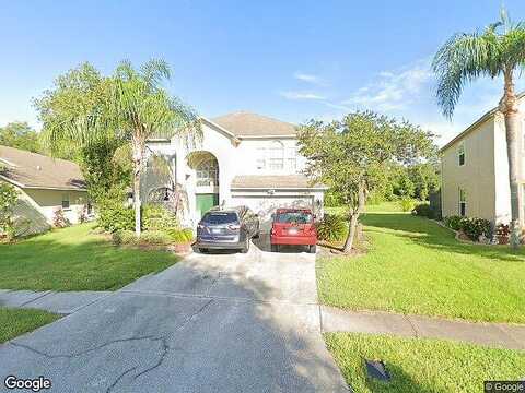 Weeping Elm, TAMPA, FL 33626