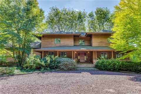 Amber, OYSTER BAY, NY 11771