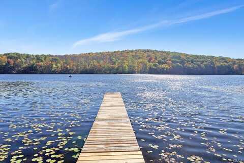 Juniper, MAHOPAC, NY 10541