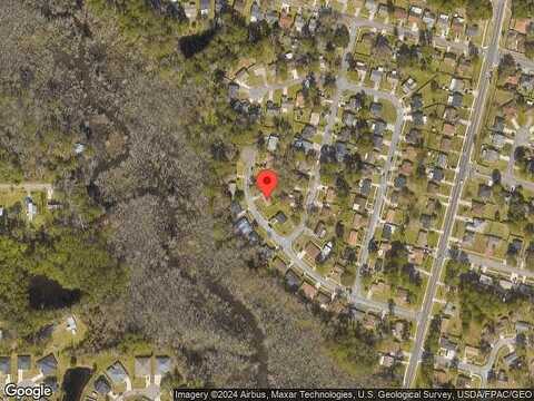 Raven, JACKSONVILLE, FL 32218