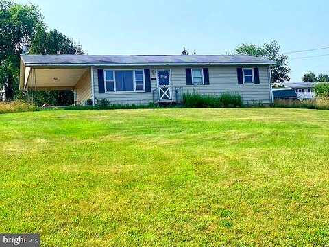 Peach, ROMNEY, WV 26757