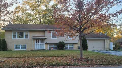 Anthony, COUNTRY CLUB HILLS, IL 60478