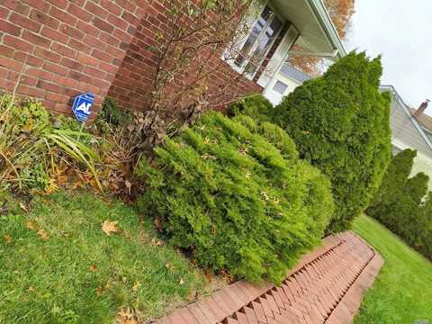 Acorn, FARMINGVILLE, NY 11738