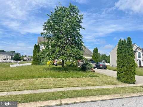 Palomino, YORK, PA 17402