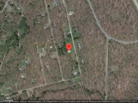 Chip, GOULDSBORO, PA 18424