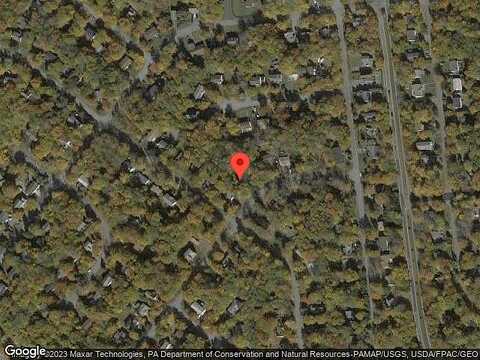 Primrose, TOBYHANNA, PA 18466