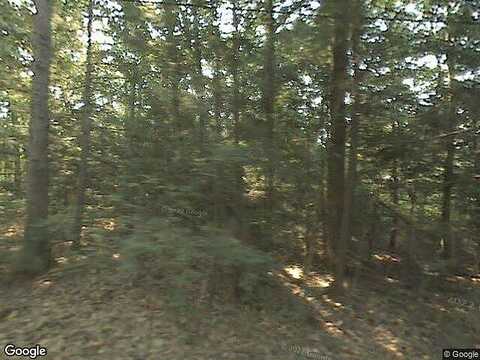 Pine, CHARLTON, MA 01507