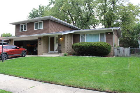 Park, GLENWOOD, IL 60425