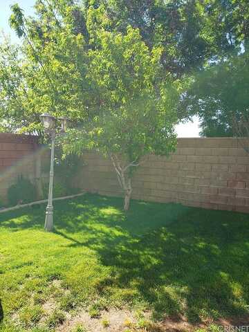 Begonia, LANCASTER, CA 93535